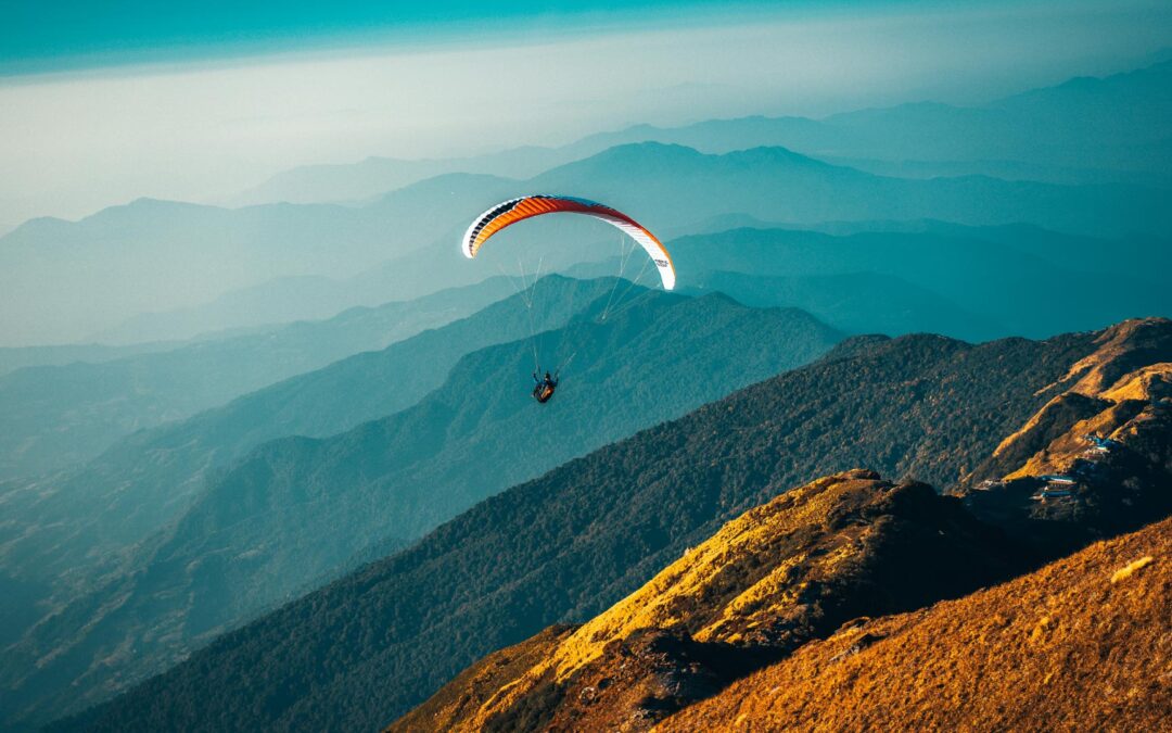 DIVI CREATIVE AGENCY