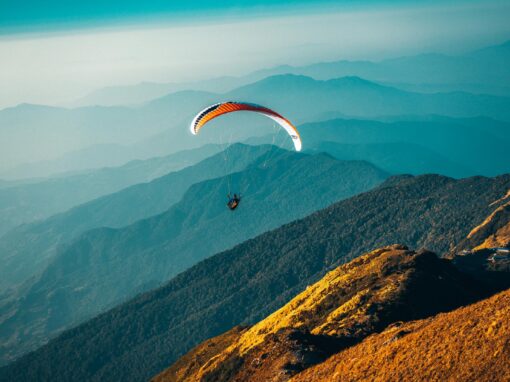 DIVI CREATIVE AGENCY